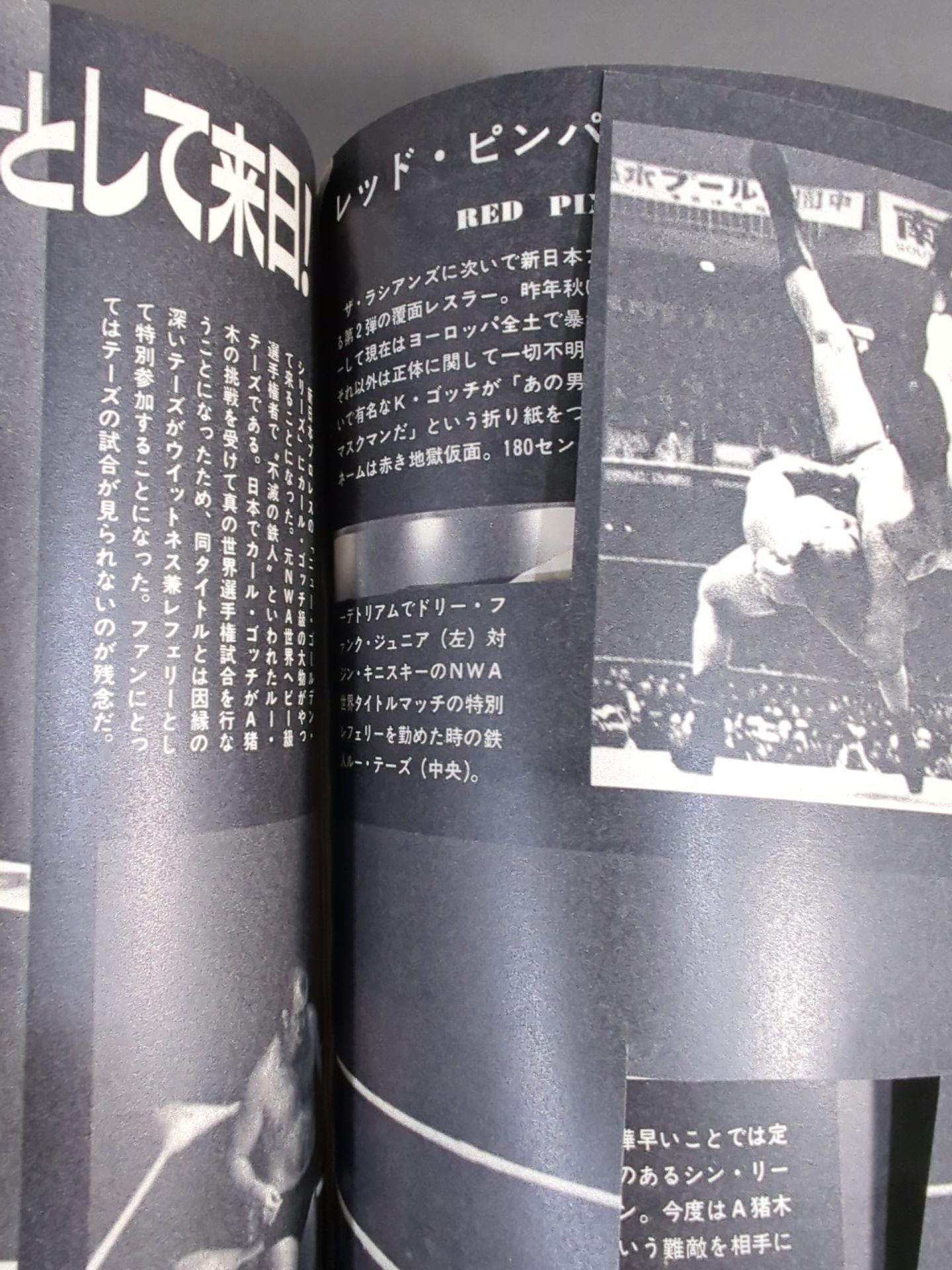 別冊ゴングVol.4 No.10