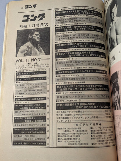 別冊ゴングVol.11 No.8