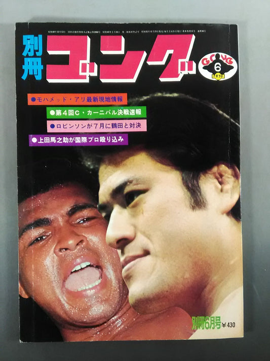 別冊ゴングVol.8 No.6