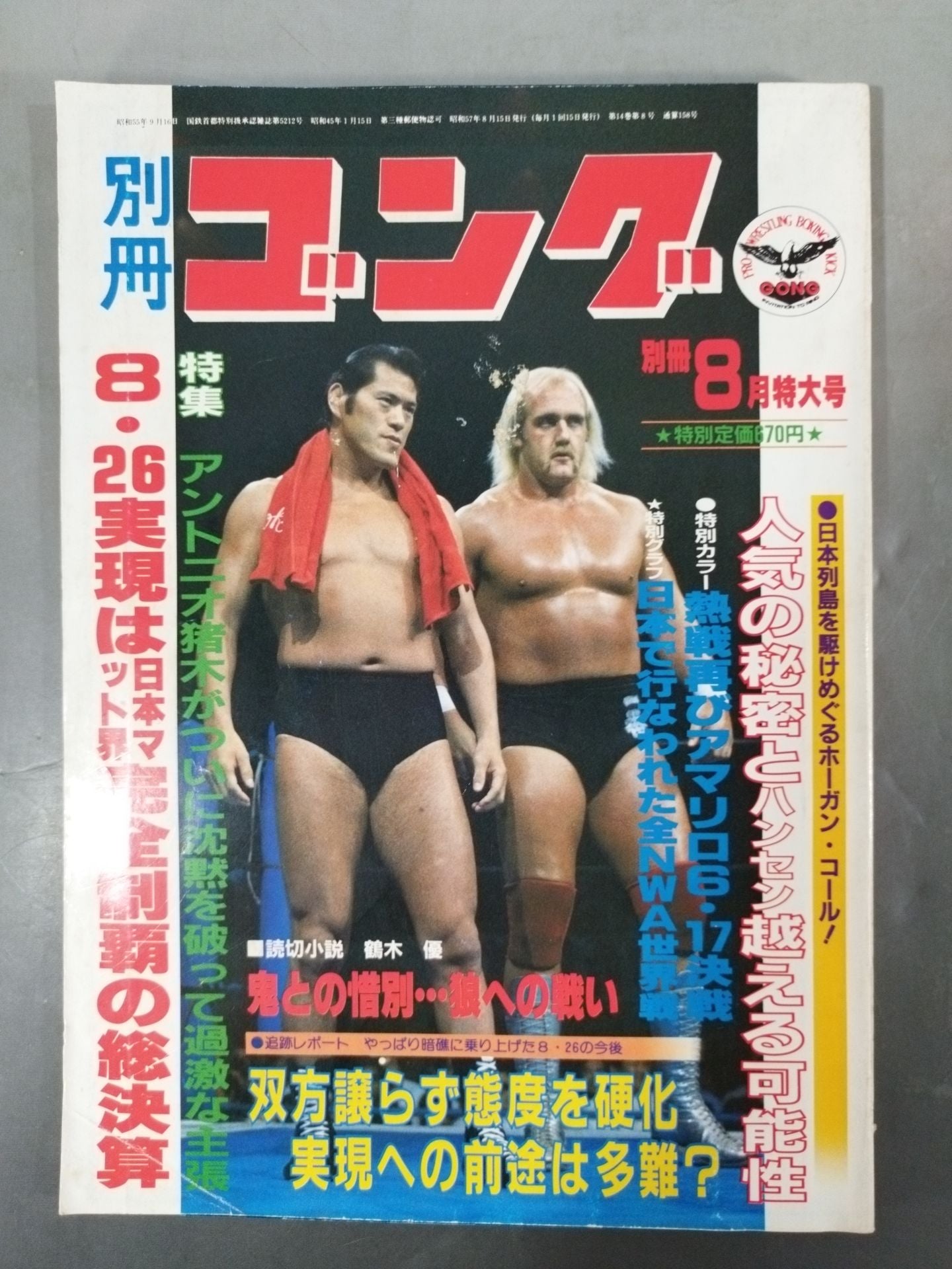 別冊ゴングVol.14 No.8
