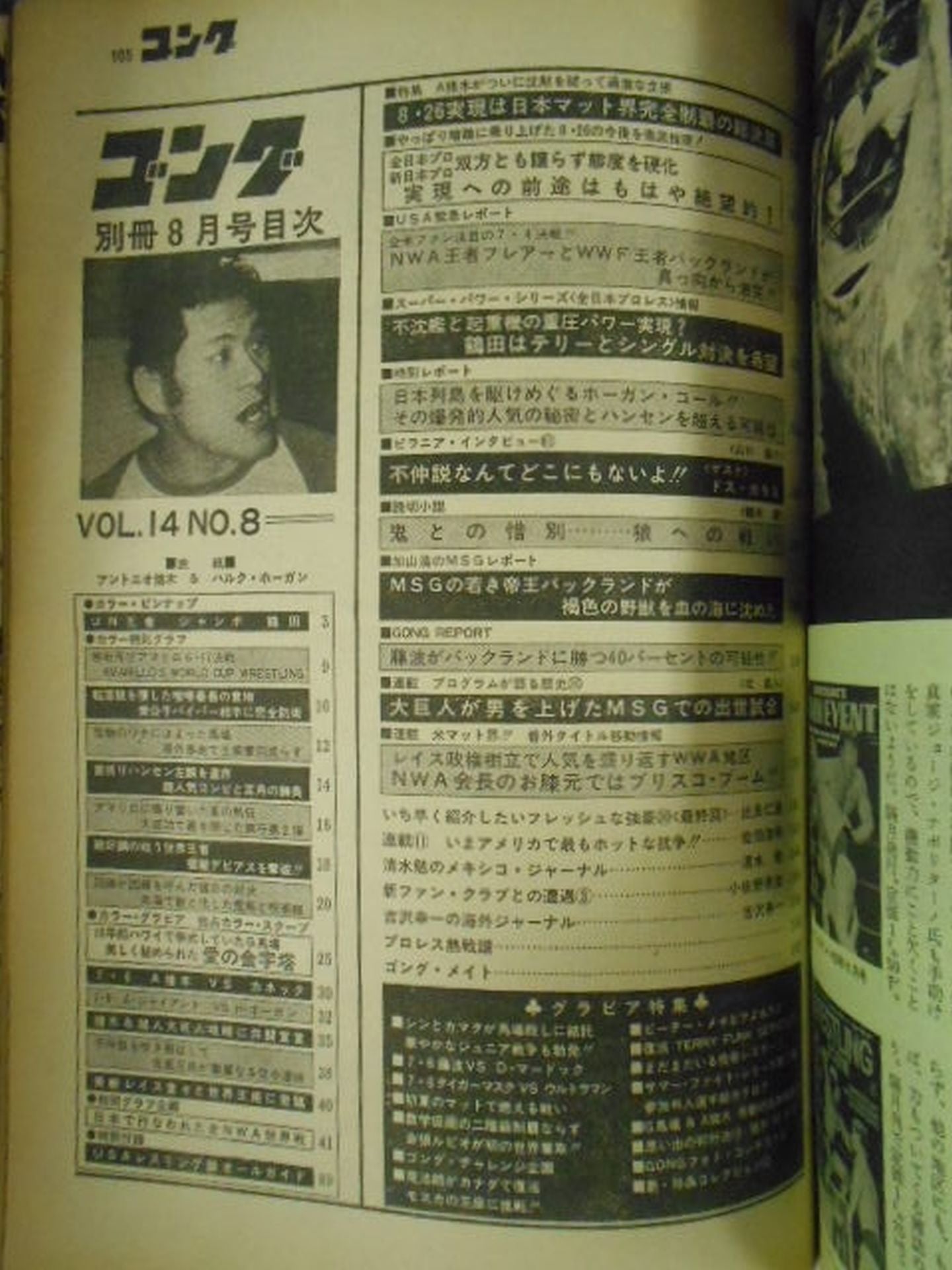 別冊ゴングVol.14 No.8