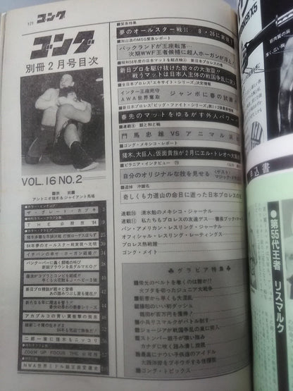 別冊ゴングVol.16 No.2