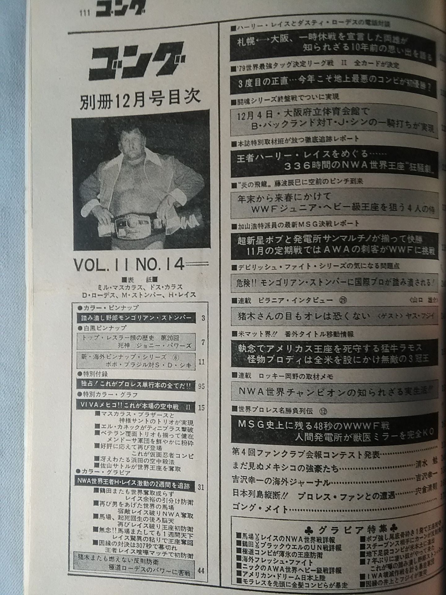 別冊ゴングVol.11 No.13
