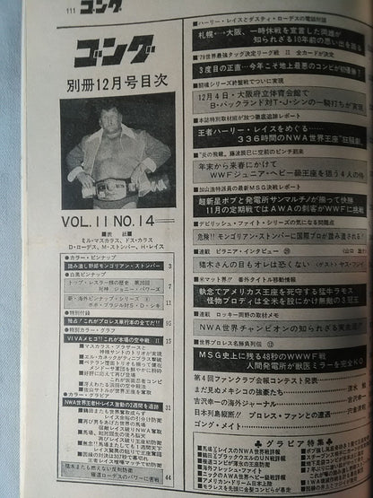 別冊ゴングVol.11 No.13