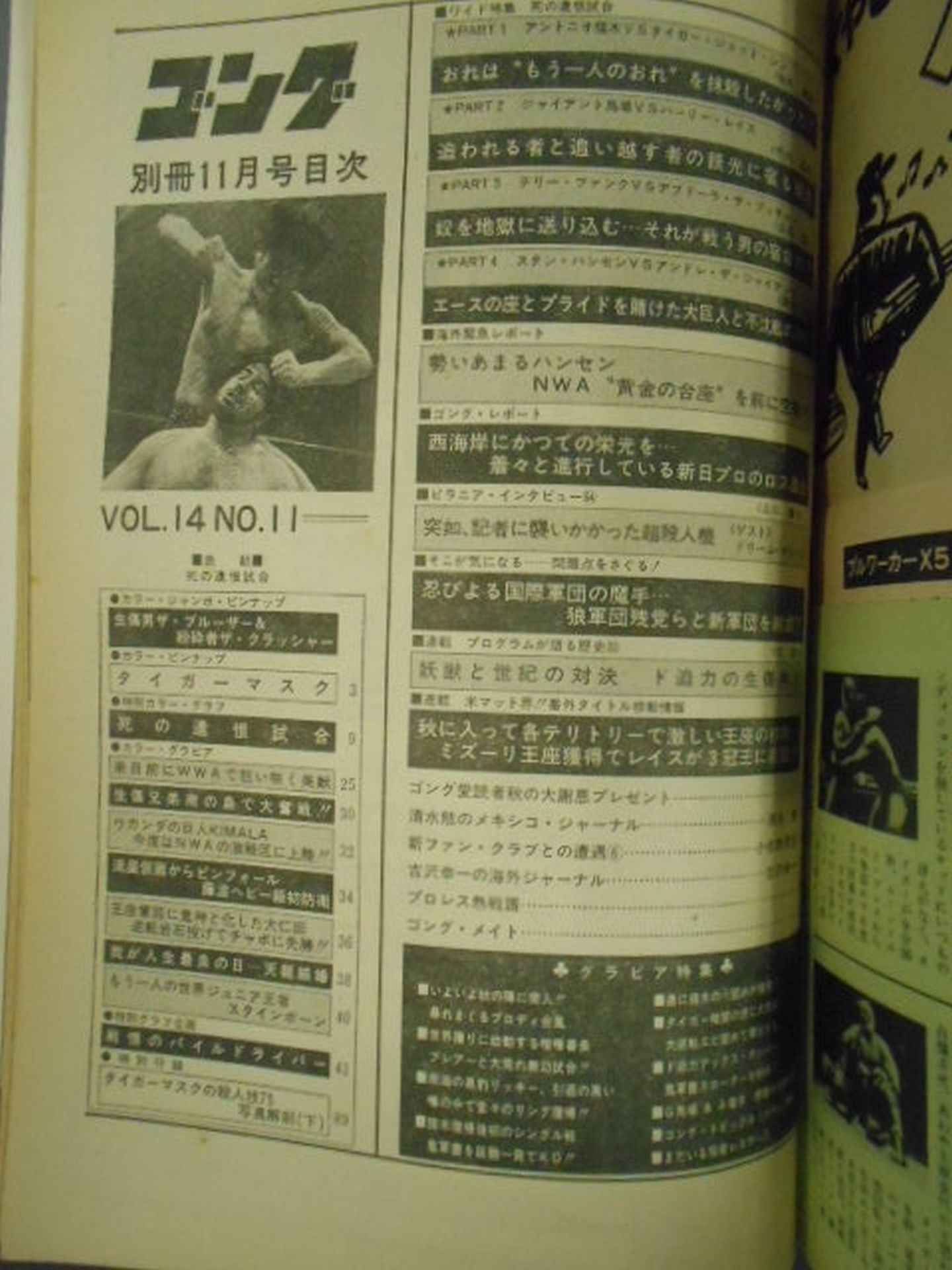 別冊ゴングVol.14 No.11