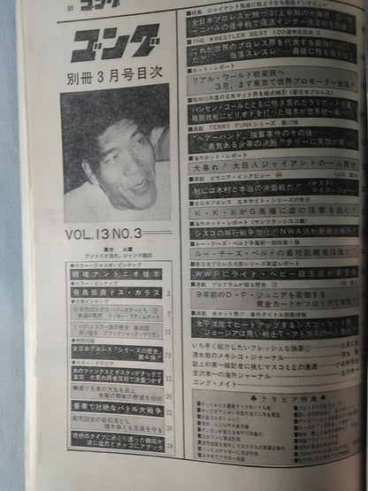 別冊ゴングVol.13 No.3