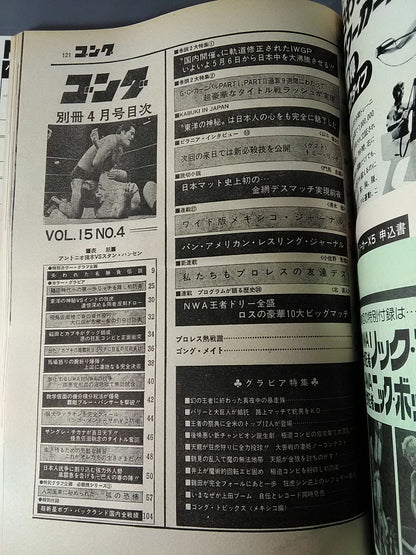 別冊ゴングVol.15 No.4