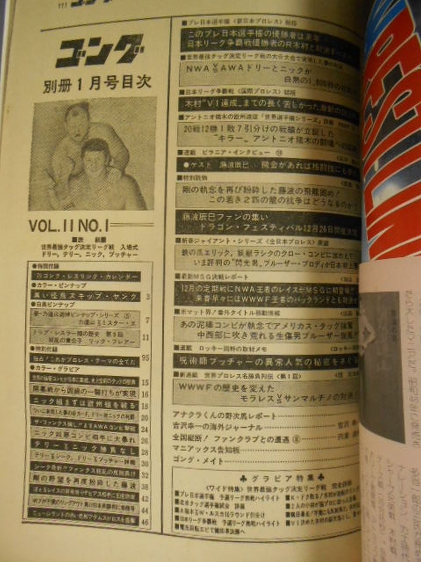 別冊ゴングVol.11 No.1