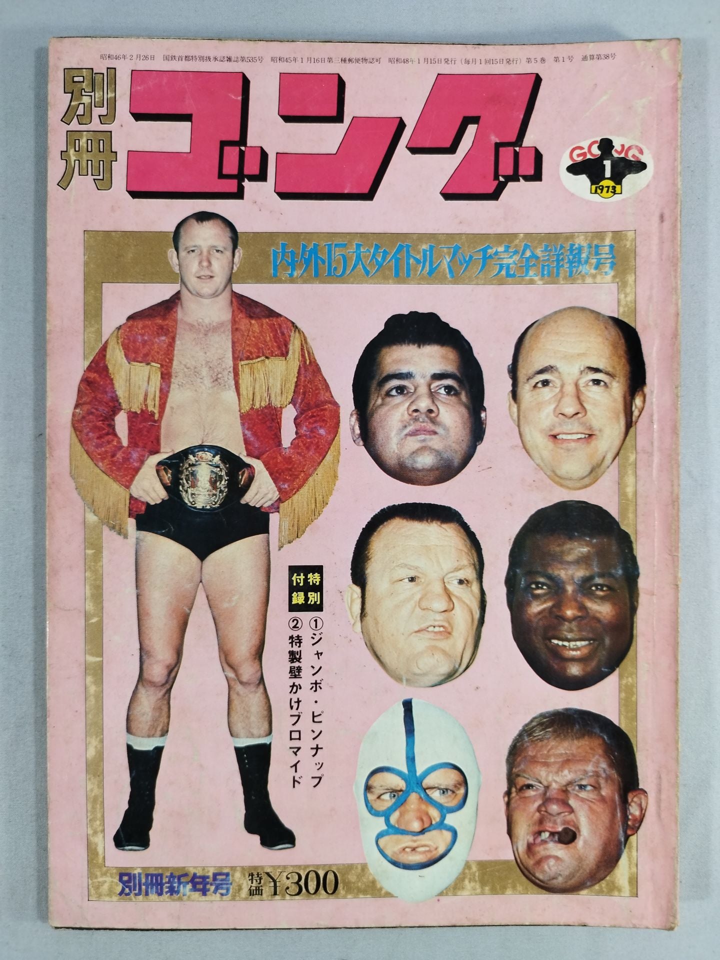 別冊ゴングVol.5 No.1