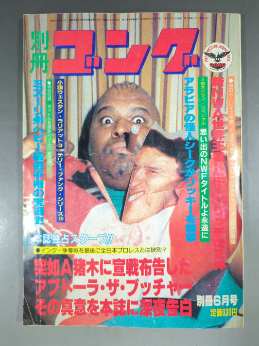 別冊ゴングVol.13 No.6