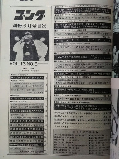 別冊ゴングVol.13 No.6
