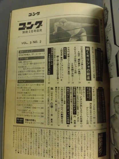 別冊ゴングVol.3 No.2