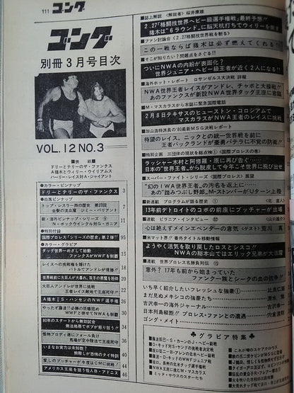 別冊ゴングVol.12 No.3