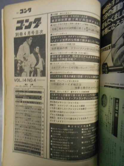 別冊ゴングVol.14 No.4