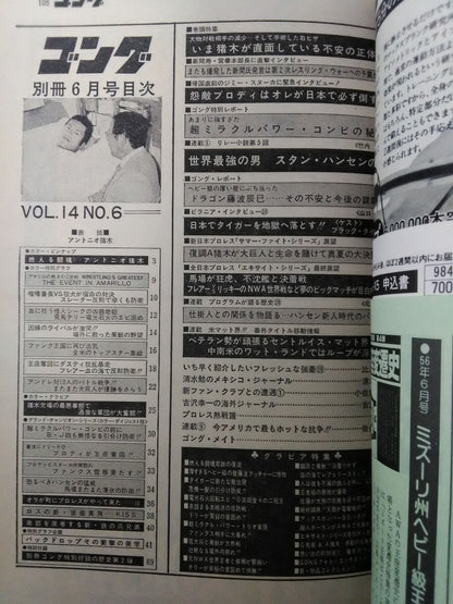 別冊ゴングVol.14 No.6