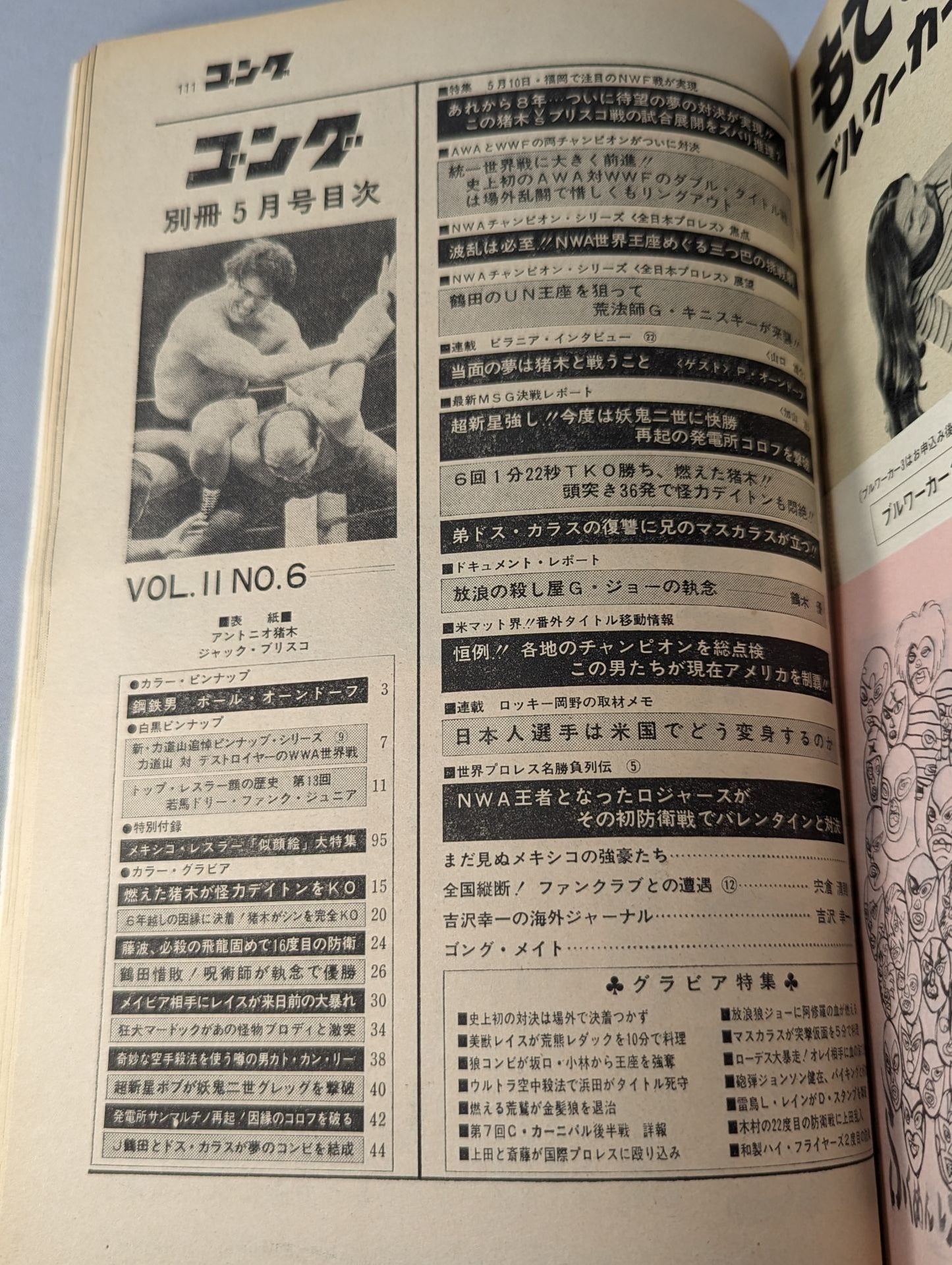別冊ゴングVol.11 No.6