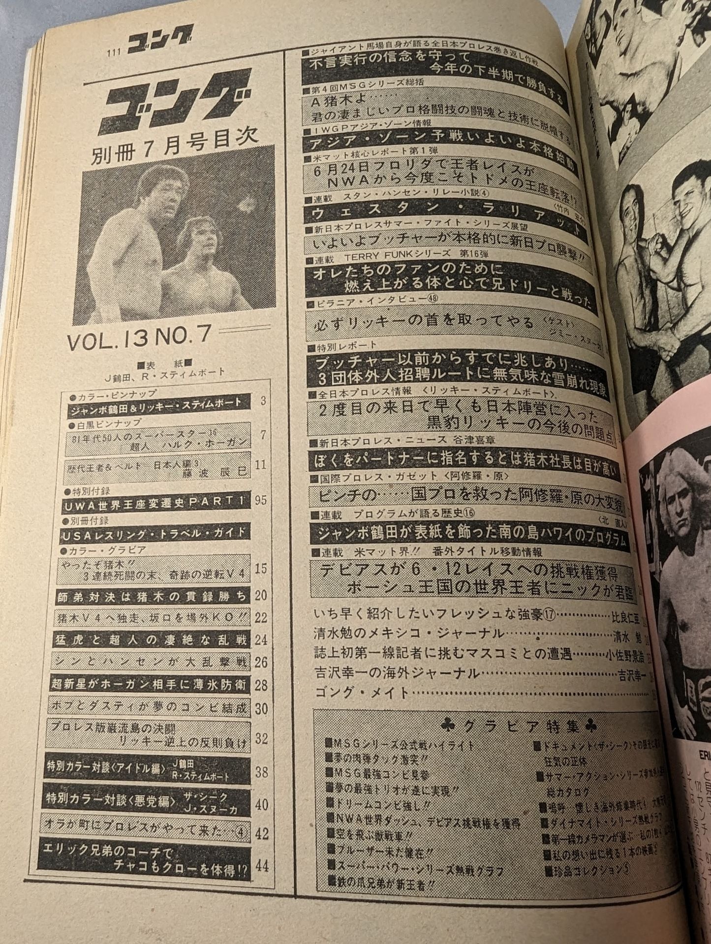 別冊ゴングVol.13 No.7