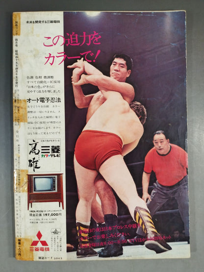 別冊ゴングVol.2 No.4
