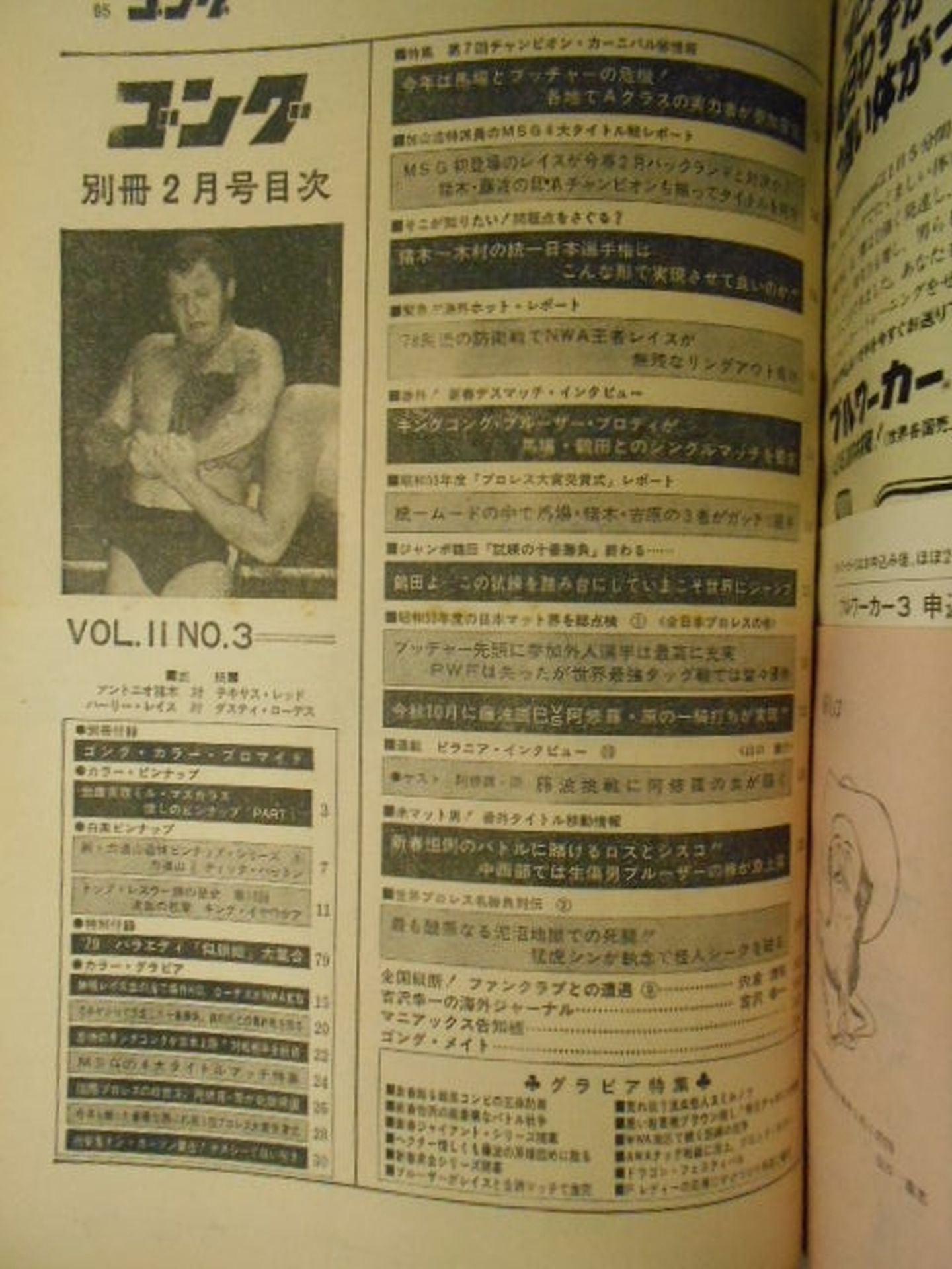 別冊ゴングVol.11 No.3