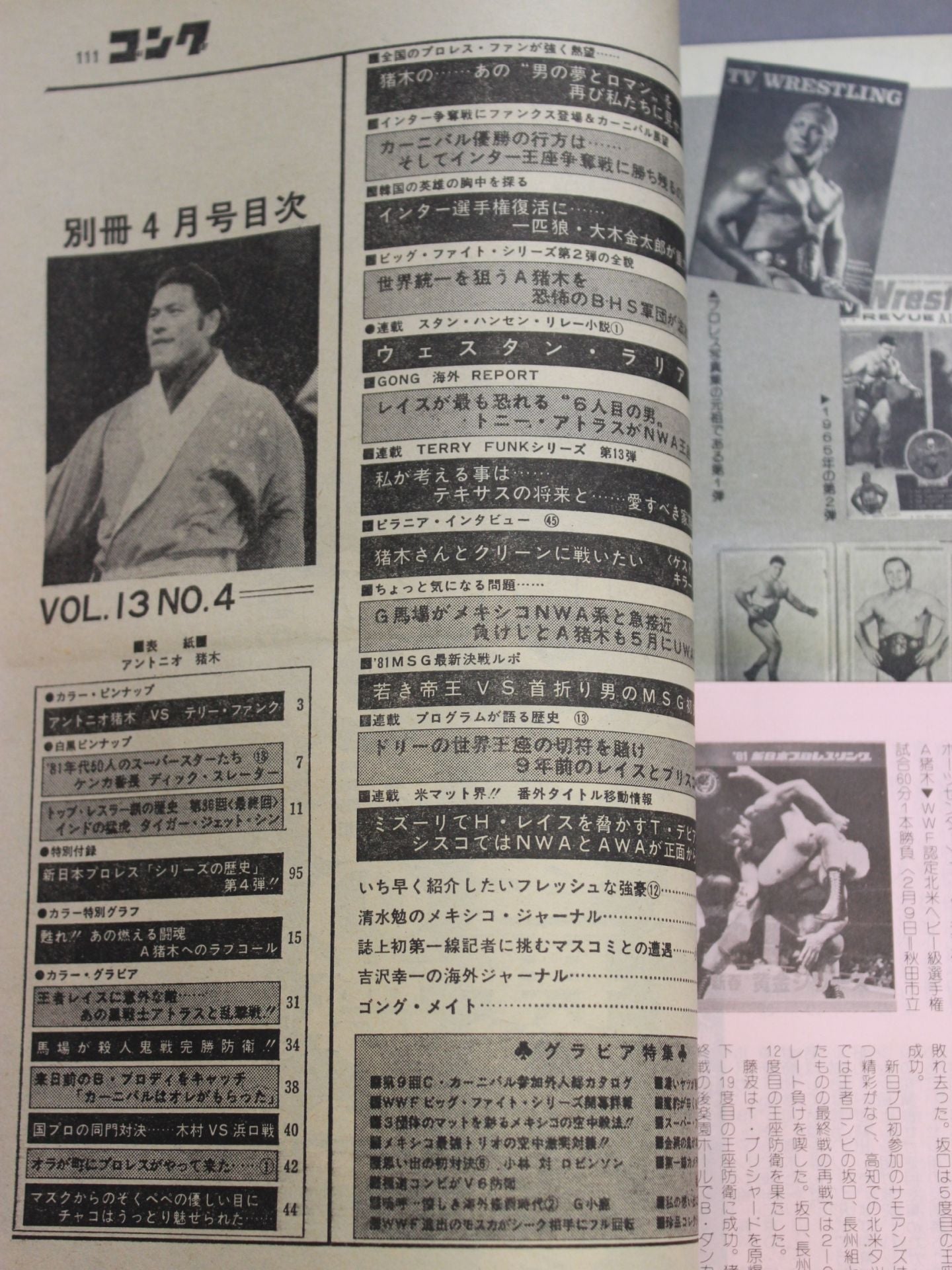 別冊ゴングVol.13 No.4