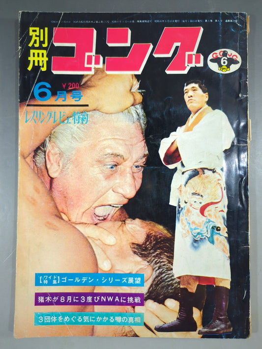 別冊ゴングVol.3 No.6