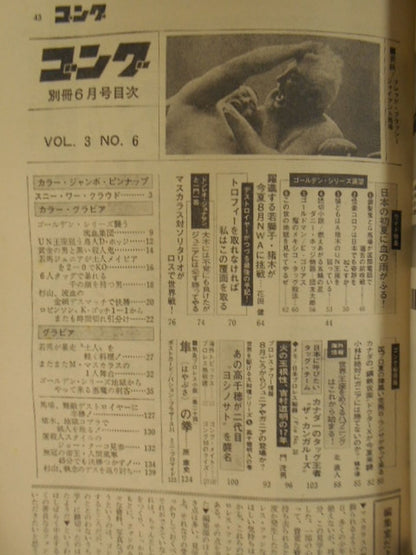 別冊ゴングVol.3 No.6