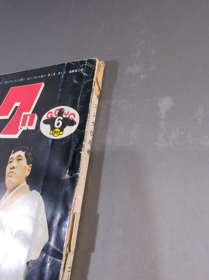 別冊ゴングVol.3 No.6
