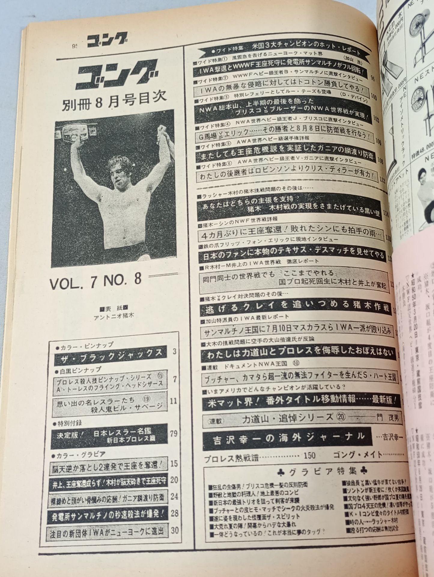 Bessatsu Gong Vol.7 No.8