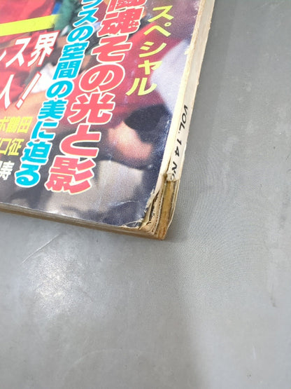 別冊ゴングVol.14 No.10