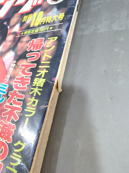 別冊ゴングVol.14 No.10