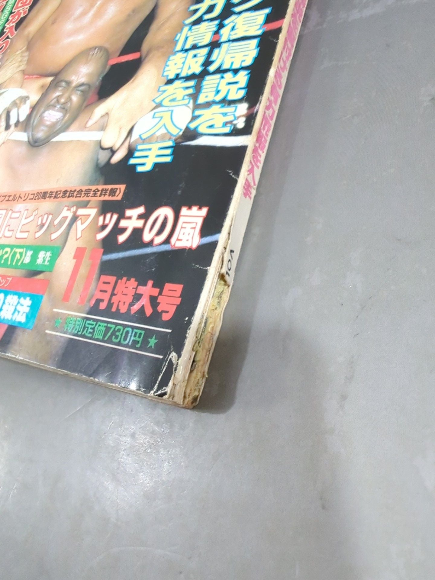 別冊ゴングVol.15 No.11
