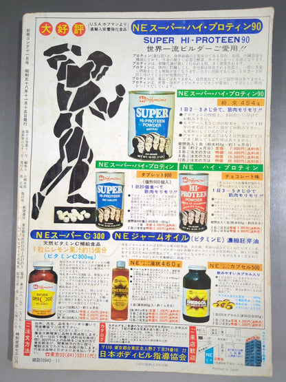 別冊ゴングVol.15 No.11
