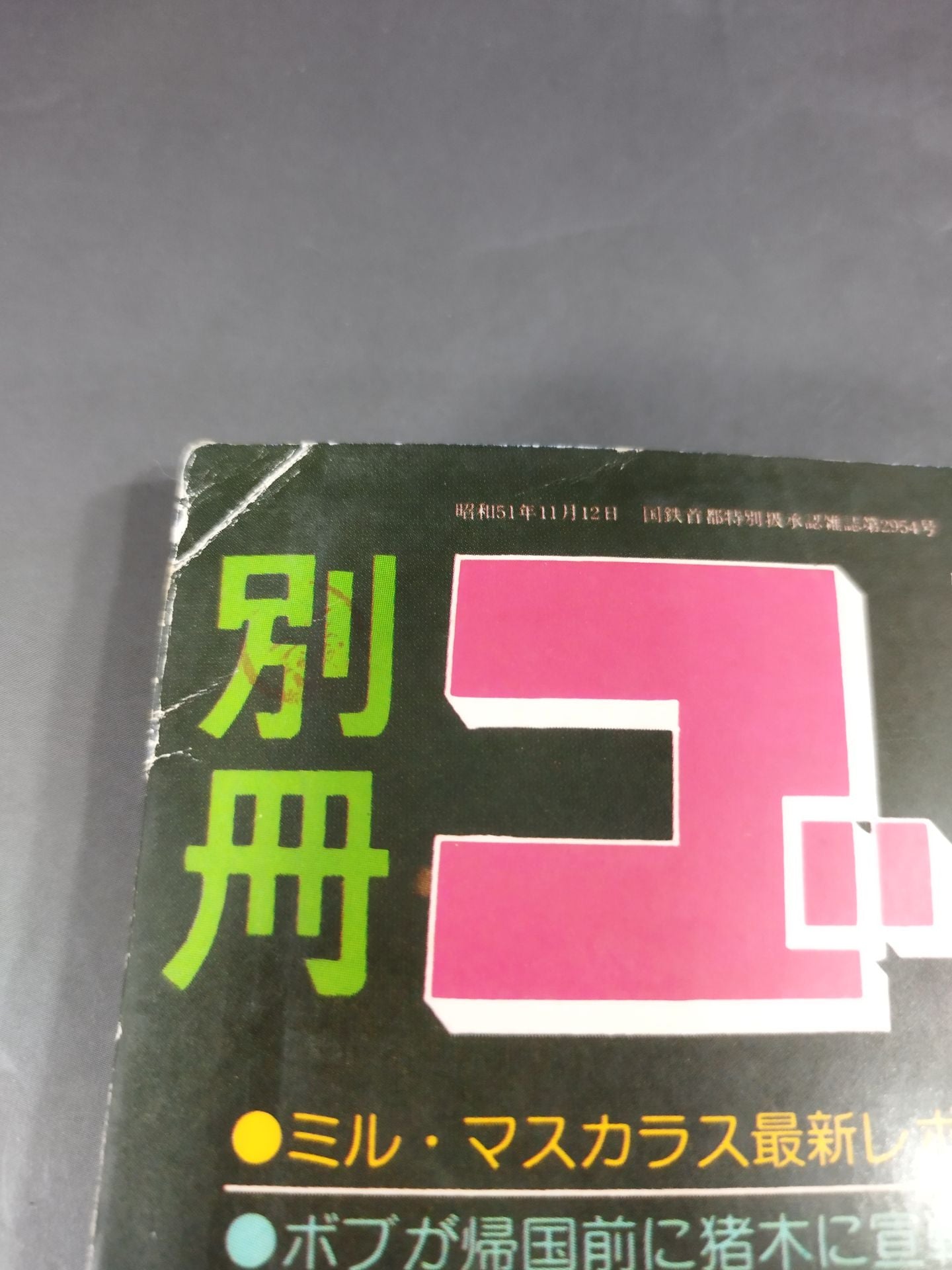 別冊ゴングVol.10 No.8