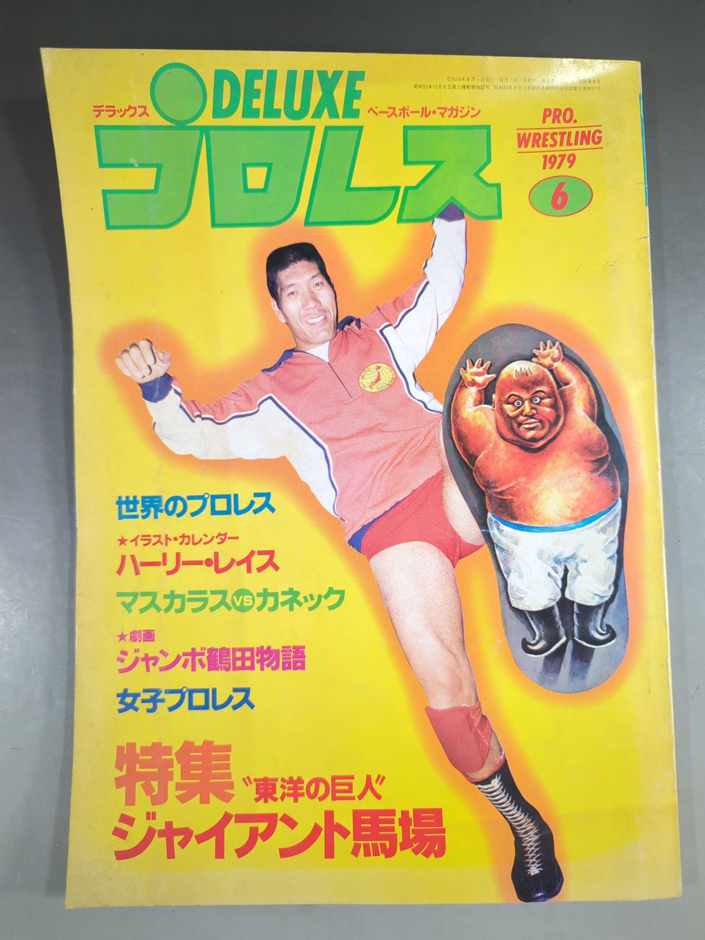 Deluxe Pro Wrestling  1979-06