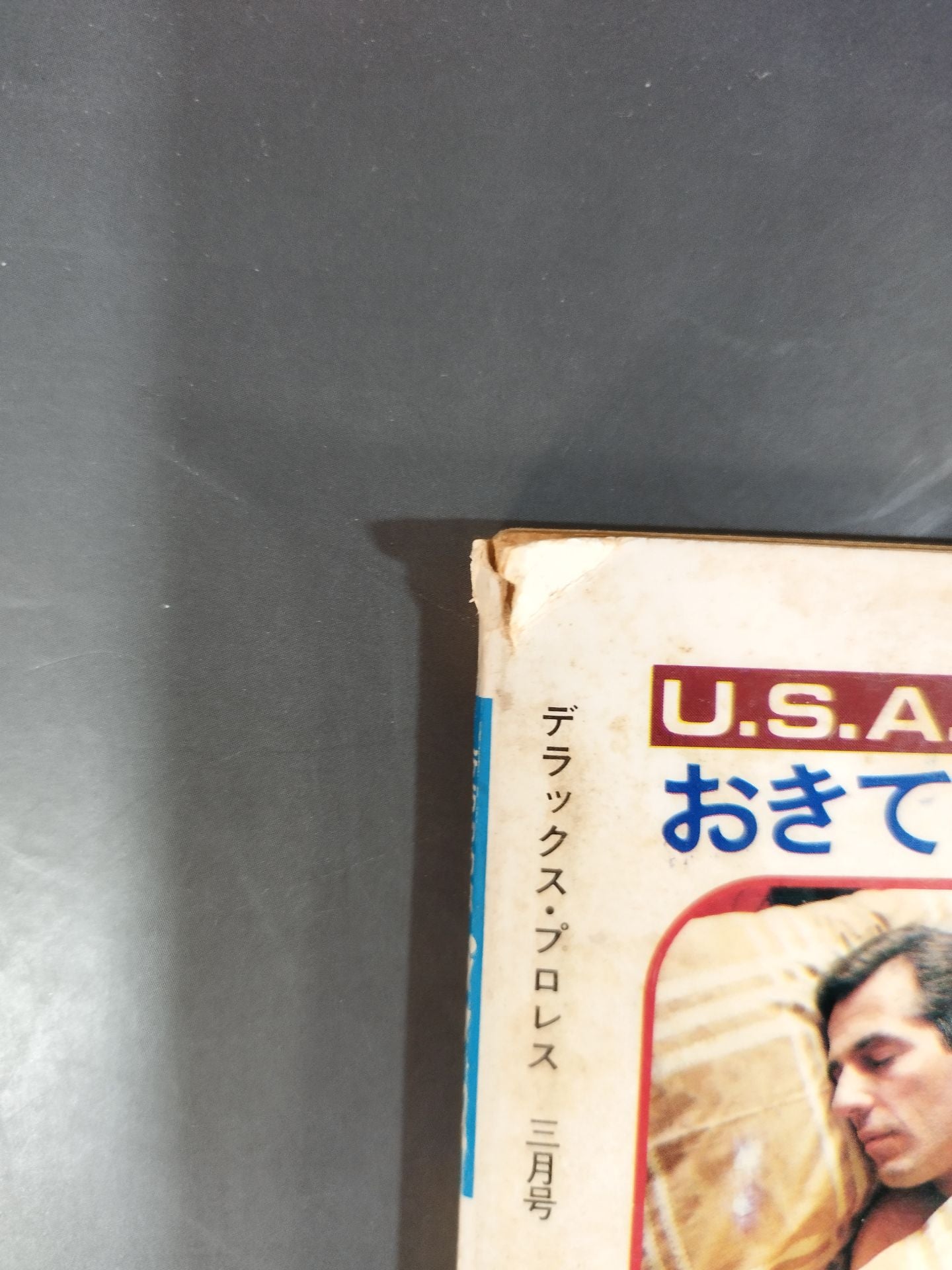 Deluxe Pro Wrestling  1980-03
