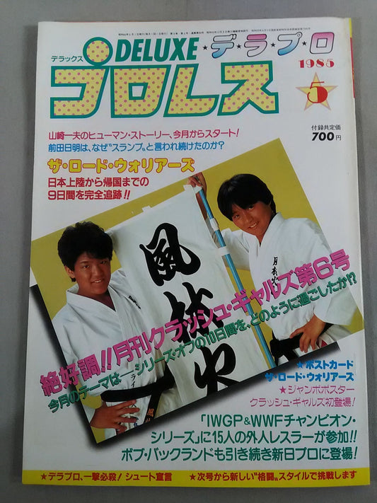 デラックスプロレス 1985年5月号