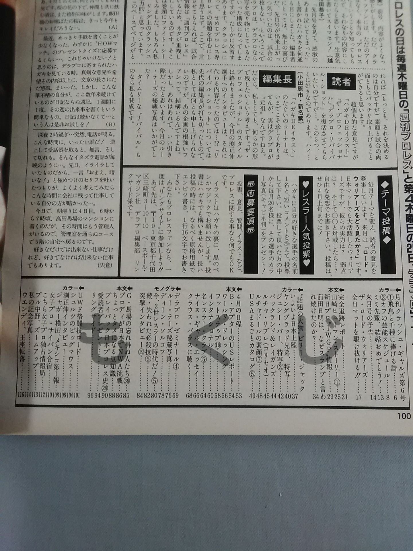 デラックスプロレス 1985年5月号