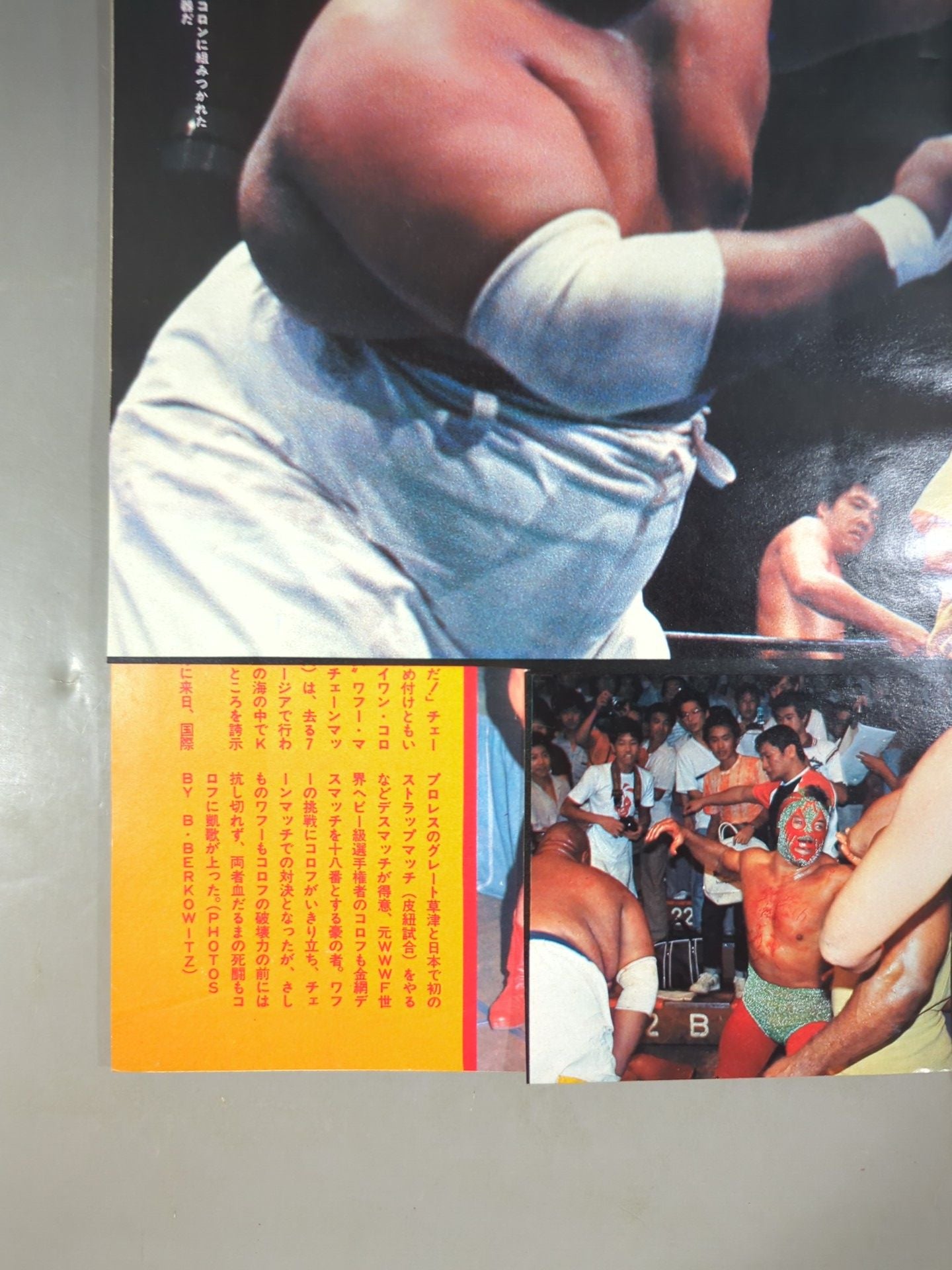 Deluxe Pro Wrestling  October 1979