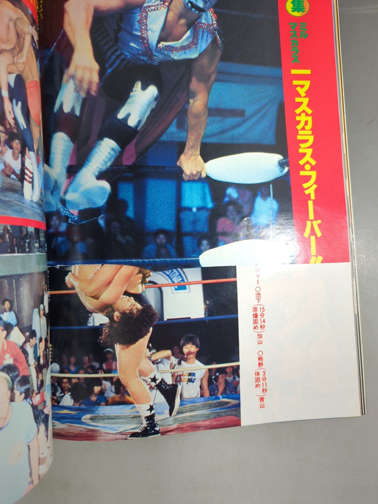 Deluxe Pro Wrestling  October 1979