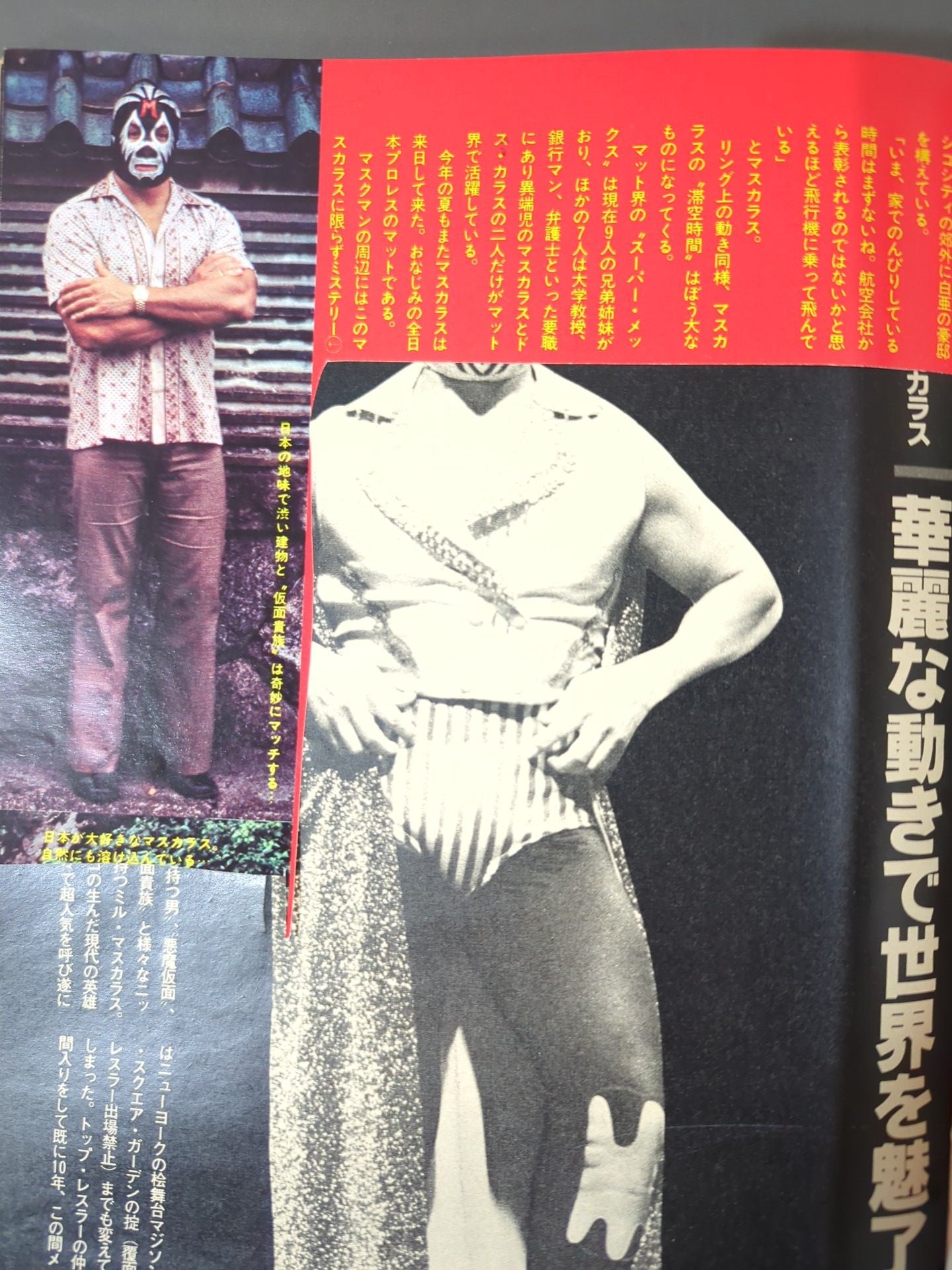 Deluxe Pro Wrestling  October 1979