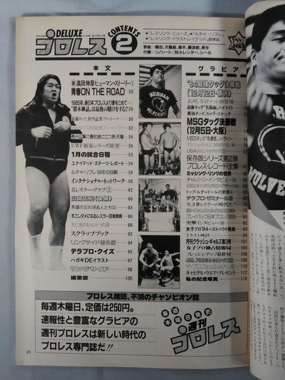 Deluxe Pro Wrestling  February 1985