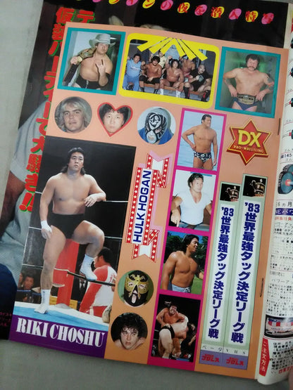 Deluxe Pro Wrestling  January 1984