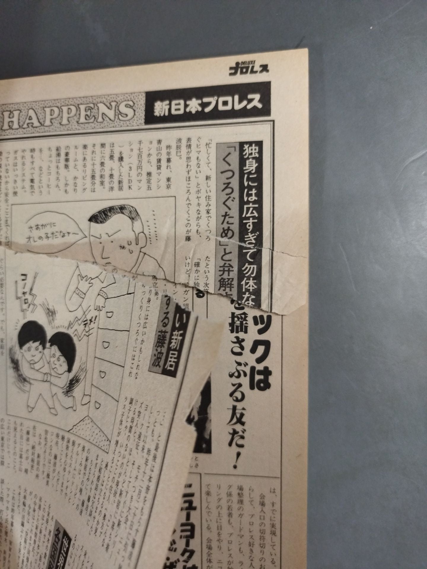 Deluxe Pro Wrestling March 1981