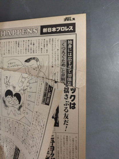 Deluxe Pro Wrestling March 1981