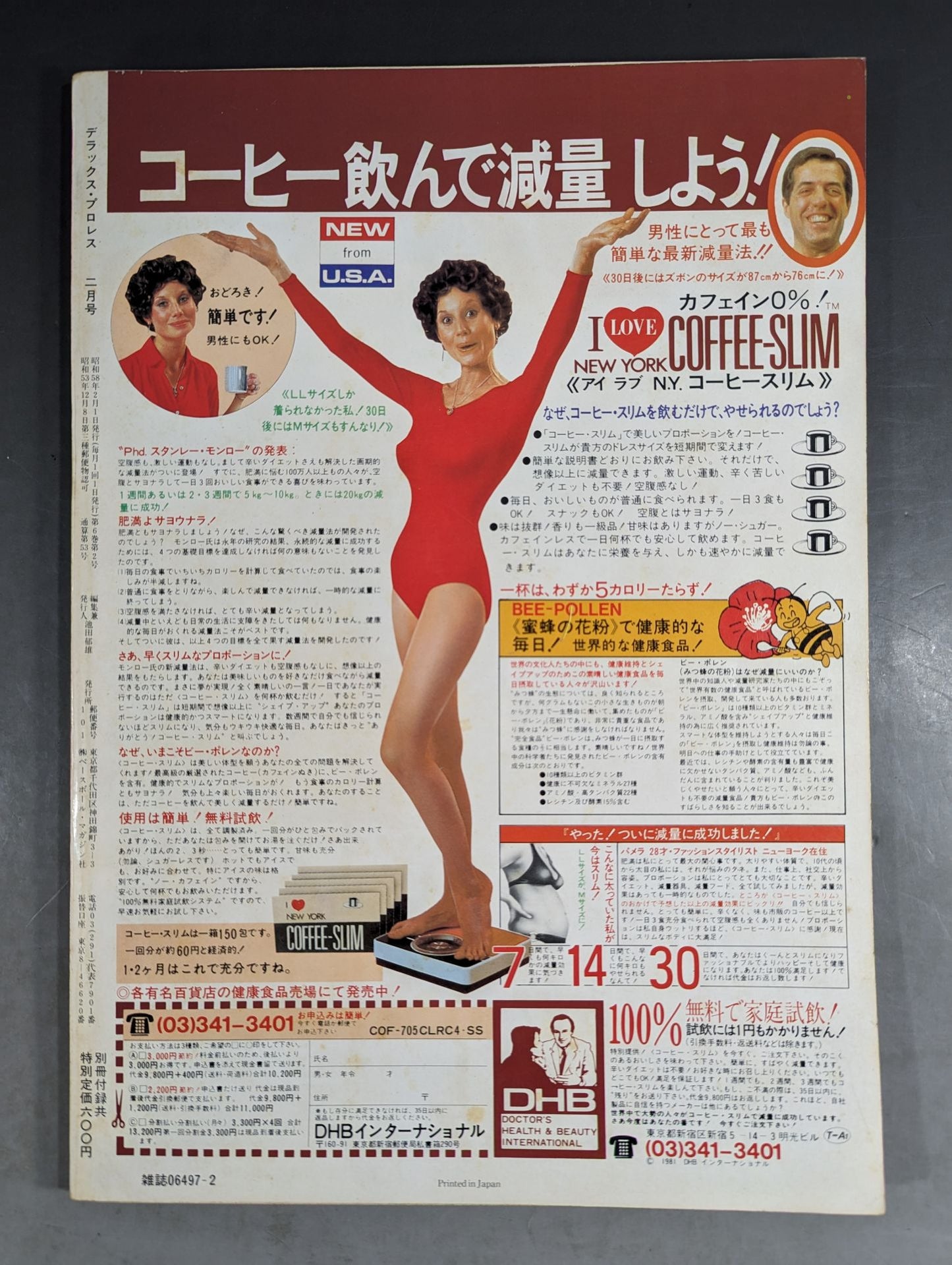 Deluxe Pro Wrestling  February 1983
