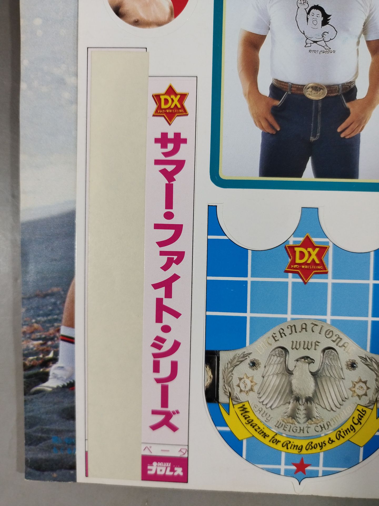 デラックスプロレス 1984年9月号