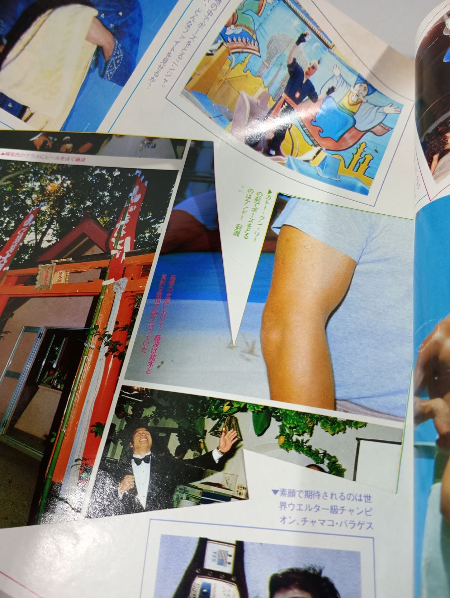 デラックスプロレス 1984年12月号