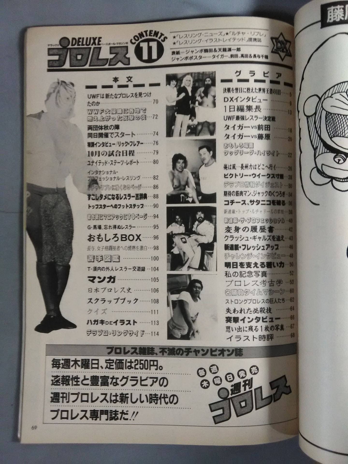 Deluxe Pro Wrestling November 1984