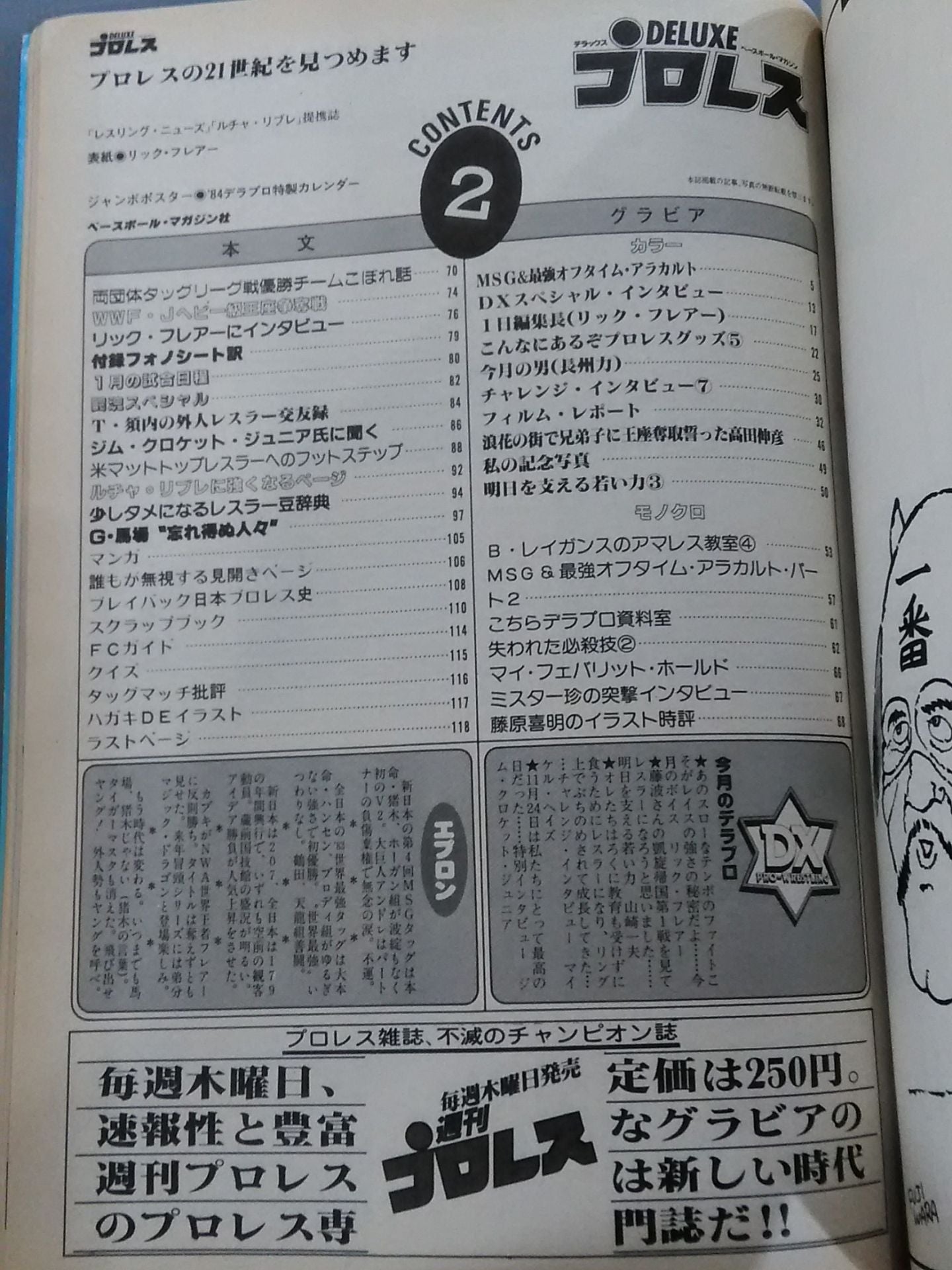 デラックスプロレス 1984年2月号