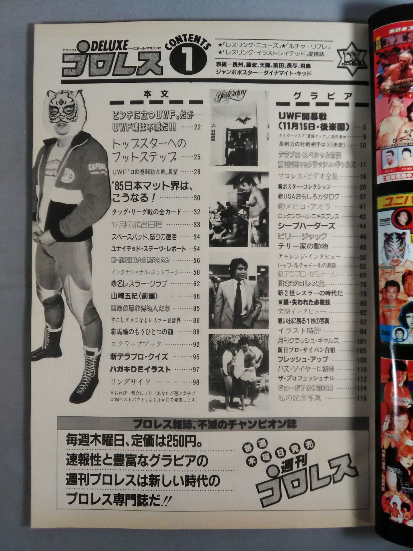 Deluxe Pro Wrestling  1985-01